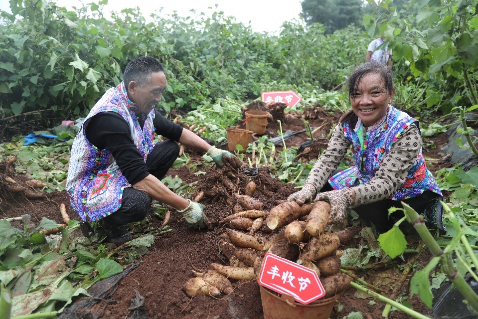 拼多多发布Q3财报，陈磊：继续重仓“新质供给”“电商西进”生态建设