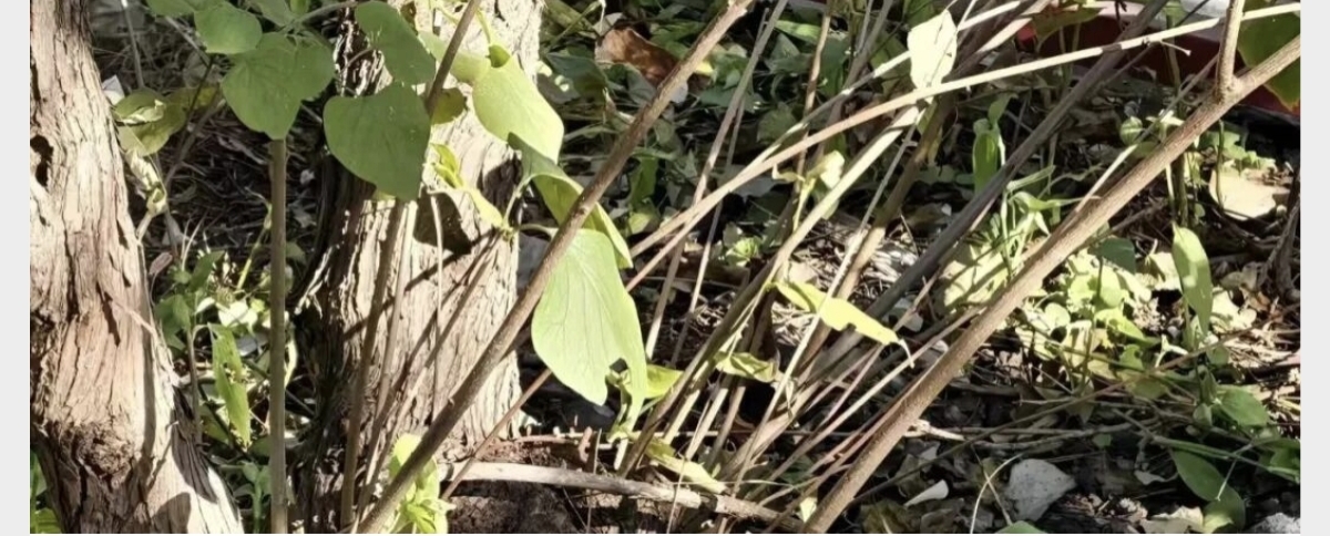 高佳思考 | 房奴翻身进入人生下半场