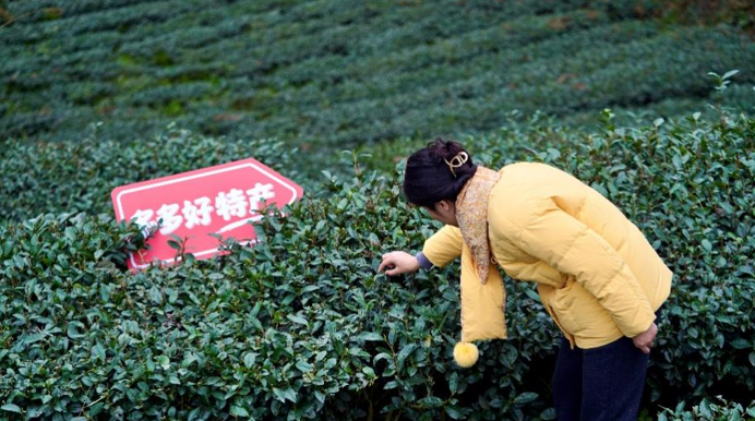 拼多多发布Q1财报，推出多轮平台治理举措，持续升级食品安全保障