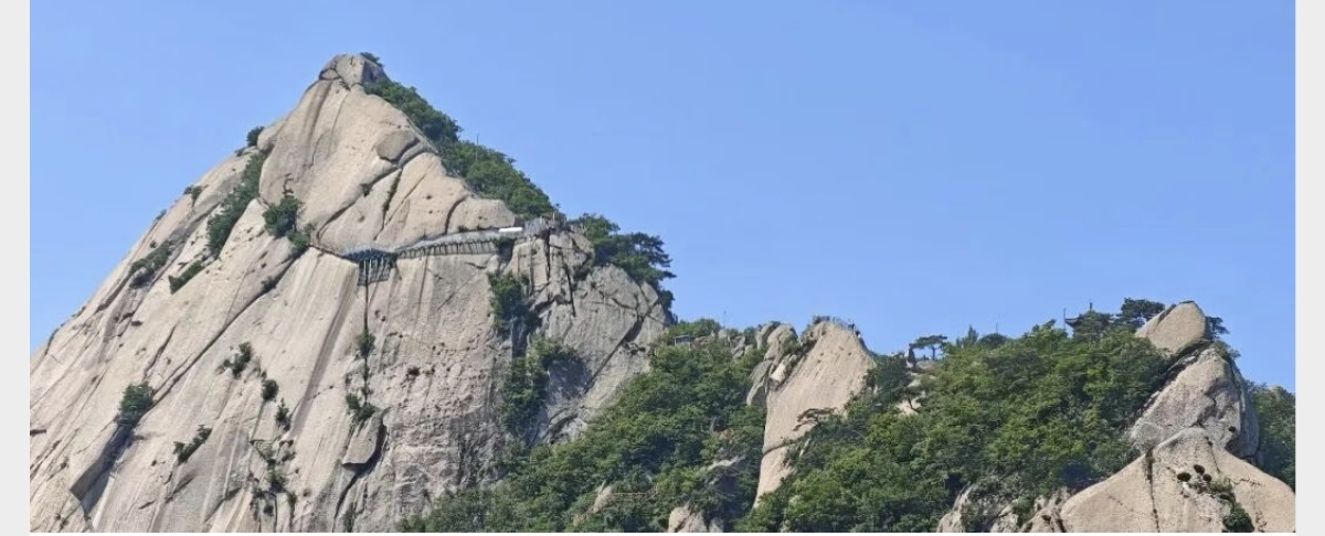 佳姐思考 | 凤凰城外凤凰山