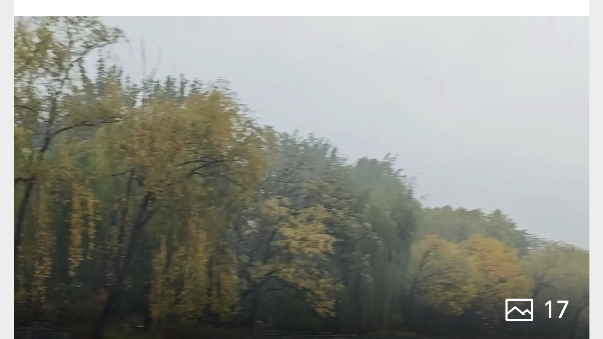 佳姐思考 | 听一场秋雨
